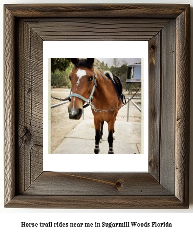 horse trail rides near me in Sugarmill Woods, Florida